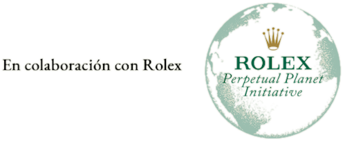 En colaboración con Rolex